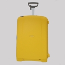 Samsonite,  , d18.006.071